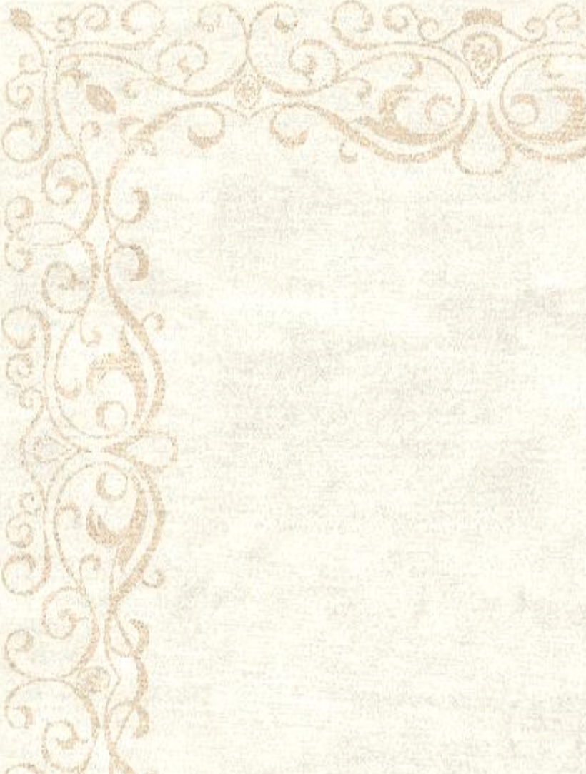 Makalu Nepal Teppich Century M001 beige Handgetuftet im Wunschmaß – Bild 4